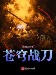 苍穹战刀封面