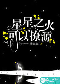 星星之火,可以撩源封面
