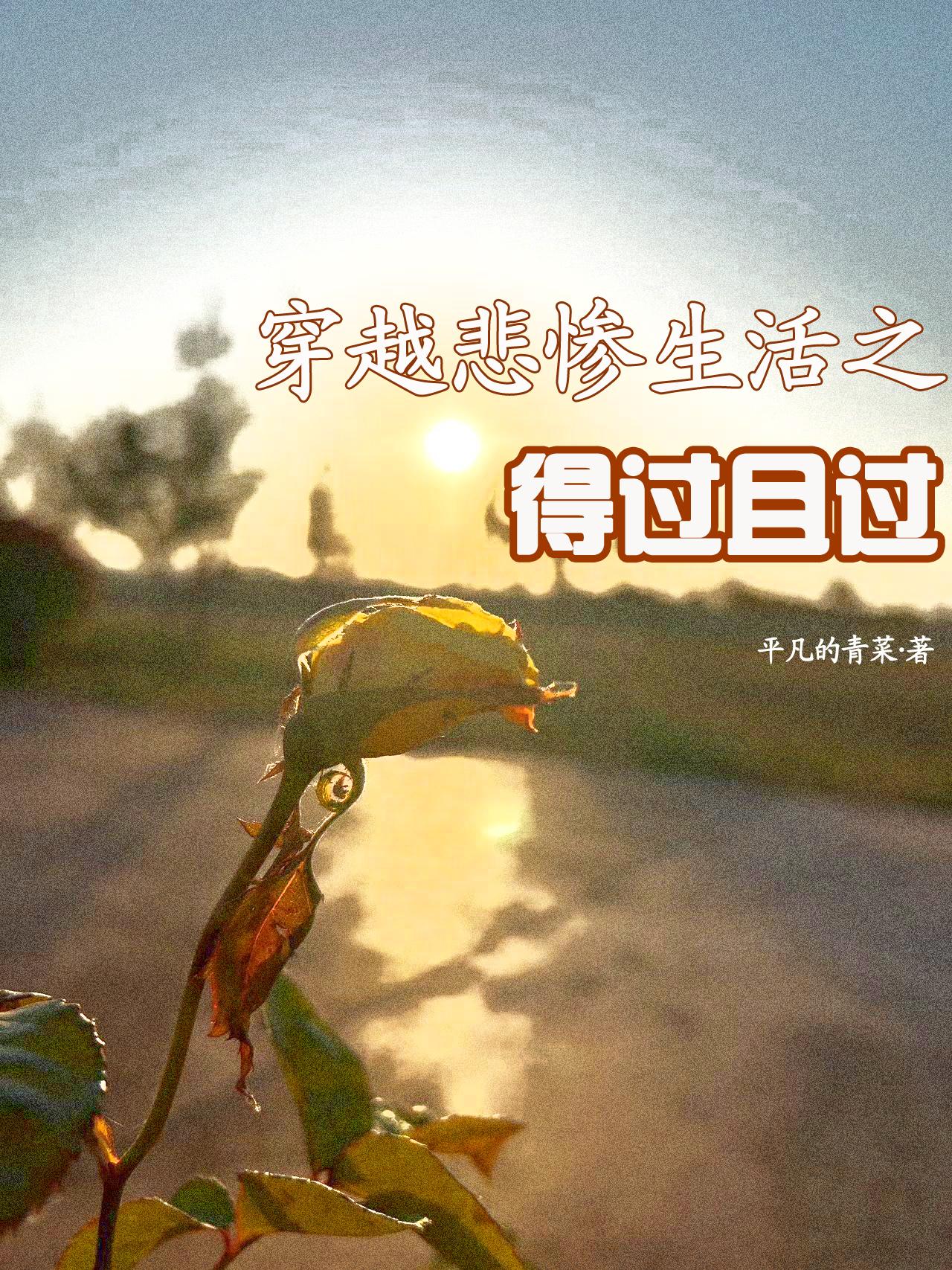 穿越悲惨生活之得过且过封面