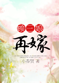 顾三娘再嫁封面