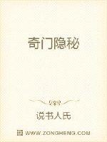 奇门隐秘封面