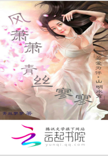 风萧萧青丝寥寥封面