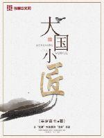 大国小匠封面