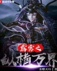 霹雳之纵横万界封面