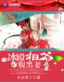 冰殿相爷腹黑妻封面