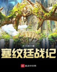 塞纹廷战记封面