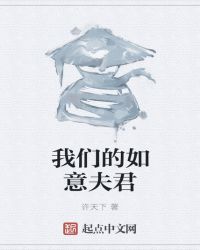 我们的如意夫君封面