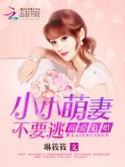 霸爱追婚:小小萌妻不要逃封面