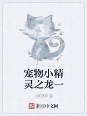 宠物小精灵之龙一封面