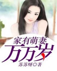 家有萌妻万万岁封面
