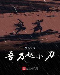 吾乃赵小刀封面