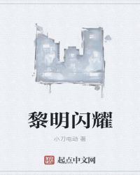 黎明闪耀封面
