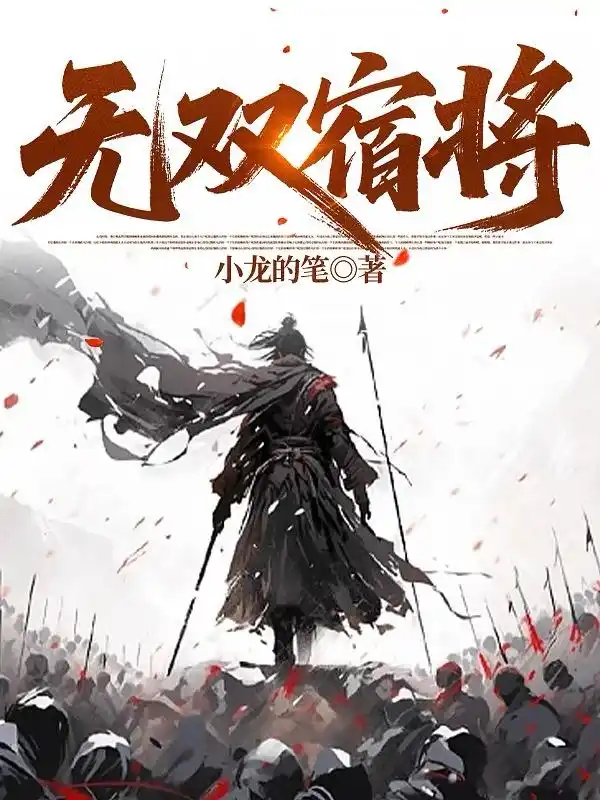 无双宿将封面