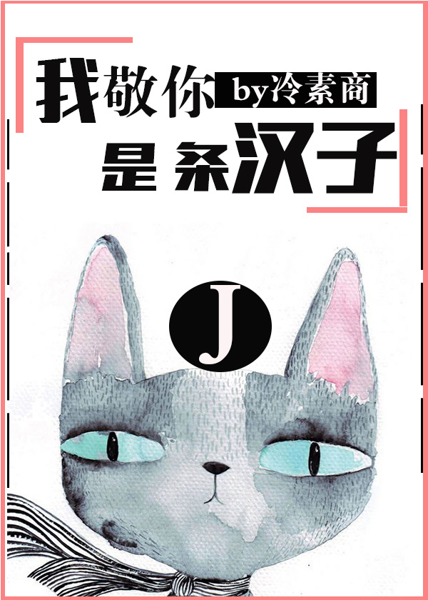 我敬你是条汉子封面