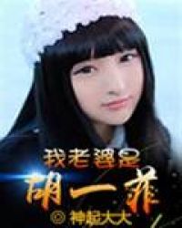 我老婆是胡一菲封面