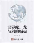 世界蛇：龙与剑的崛起封面