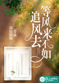 等风来不如追风去封面