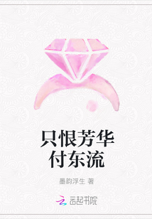 只恨芳华付东流封面
