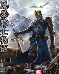 风暴骑士物语封面