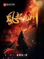 风起九州封面