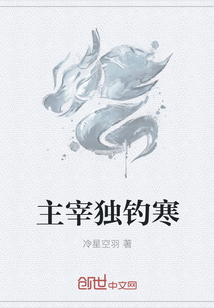 主宰独钓寒封面