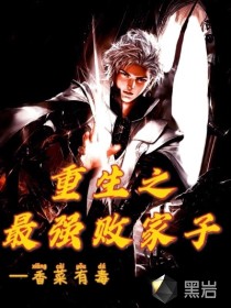 重生之最强败家子封面