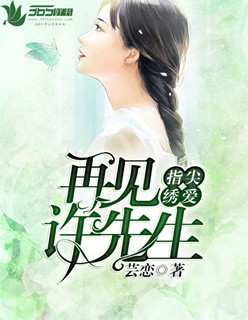 指尖绣爱：再见许先生封面