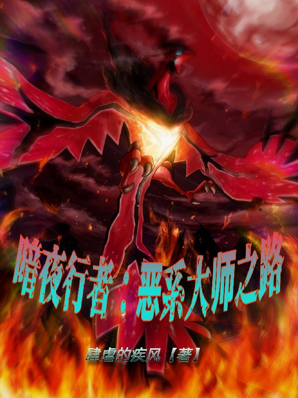 暗夜行者：恶系大师之路封面