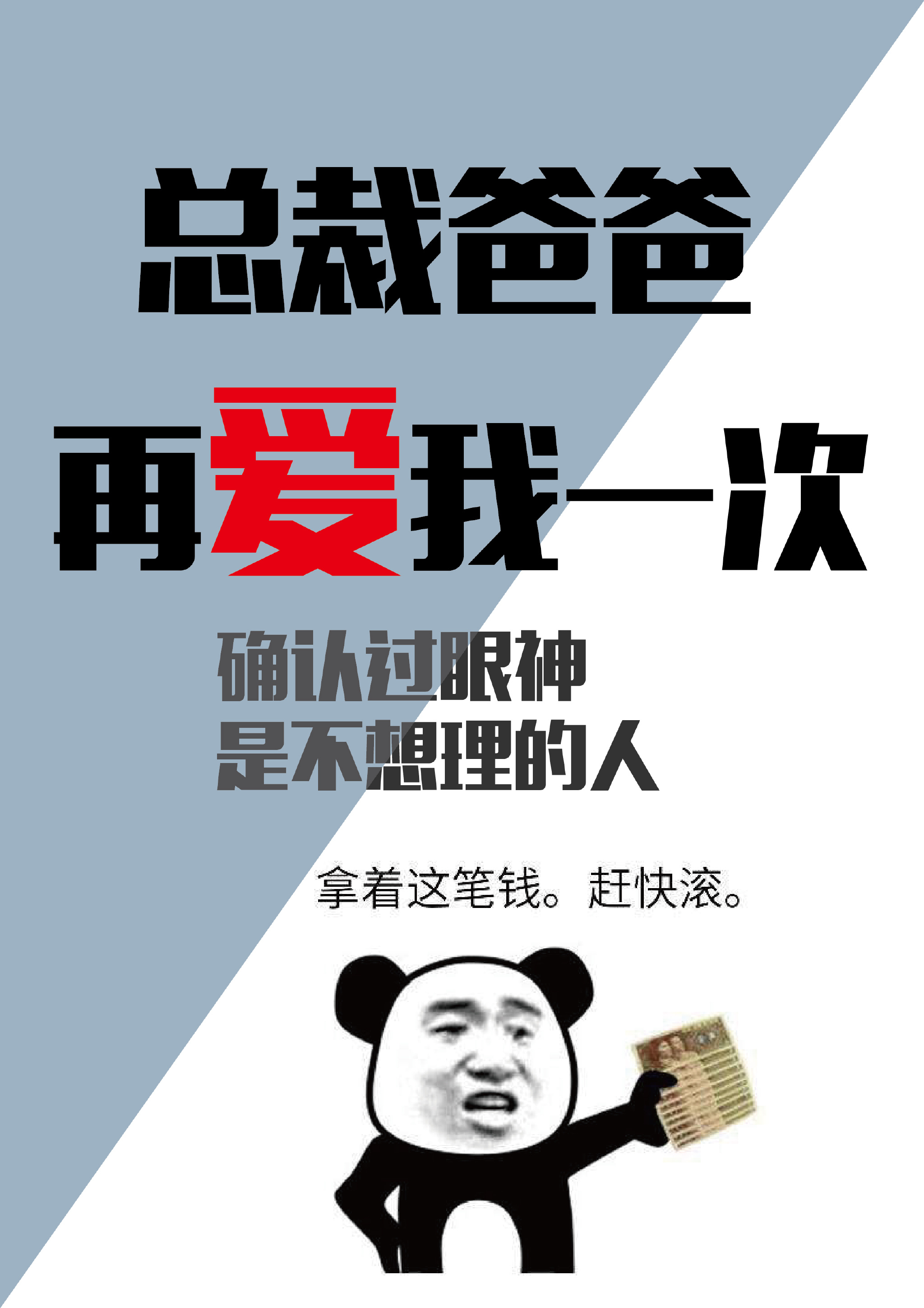 总裁再爱我一次封面