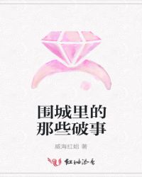 围城里的那些破事封面