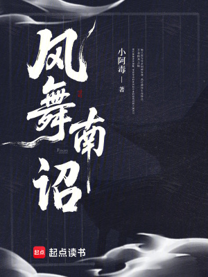 风舞南诏封面