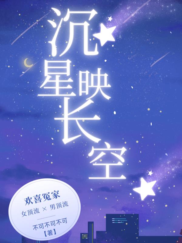 沉星映长空封面
