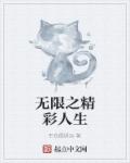 无限之精彩人生封面