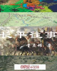 长平往事封面