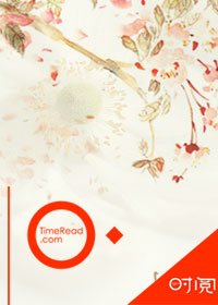 何以晨风起封面