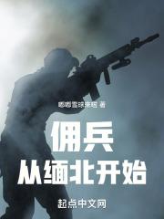 人在缅北，打成最强轻步兵封面