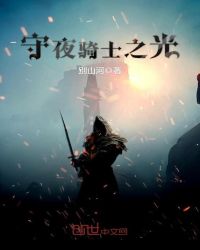 守夜骑士之光封面