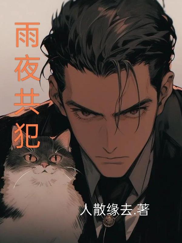 雨夜共犯封面
