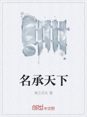 名承天下封面