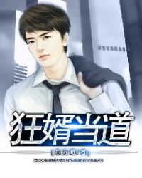 狂婿当道封面