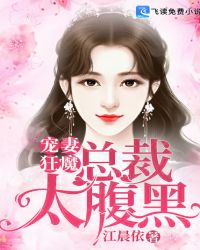 宠妻狂魔:总裁太腹黑封面