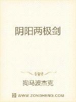 阴阳两极剑封面