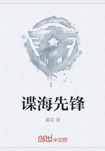 谍海先锋封面