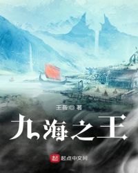 九海之王封面