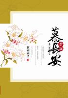 君临慕长安封面