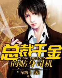 总裁千金的贴身司机封面