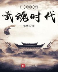三国之武魂时代封面