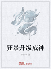 狂暴升级成神封面