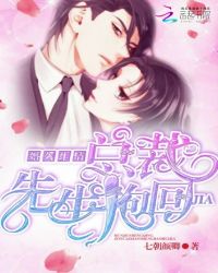 婚久生情，总裁先生抱回家封面