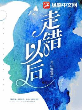 走错以后封面